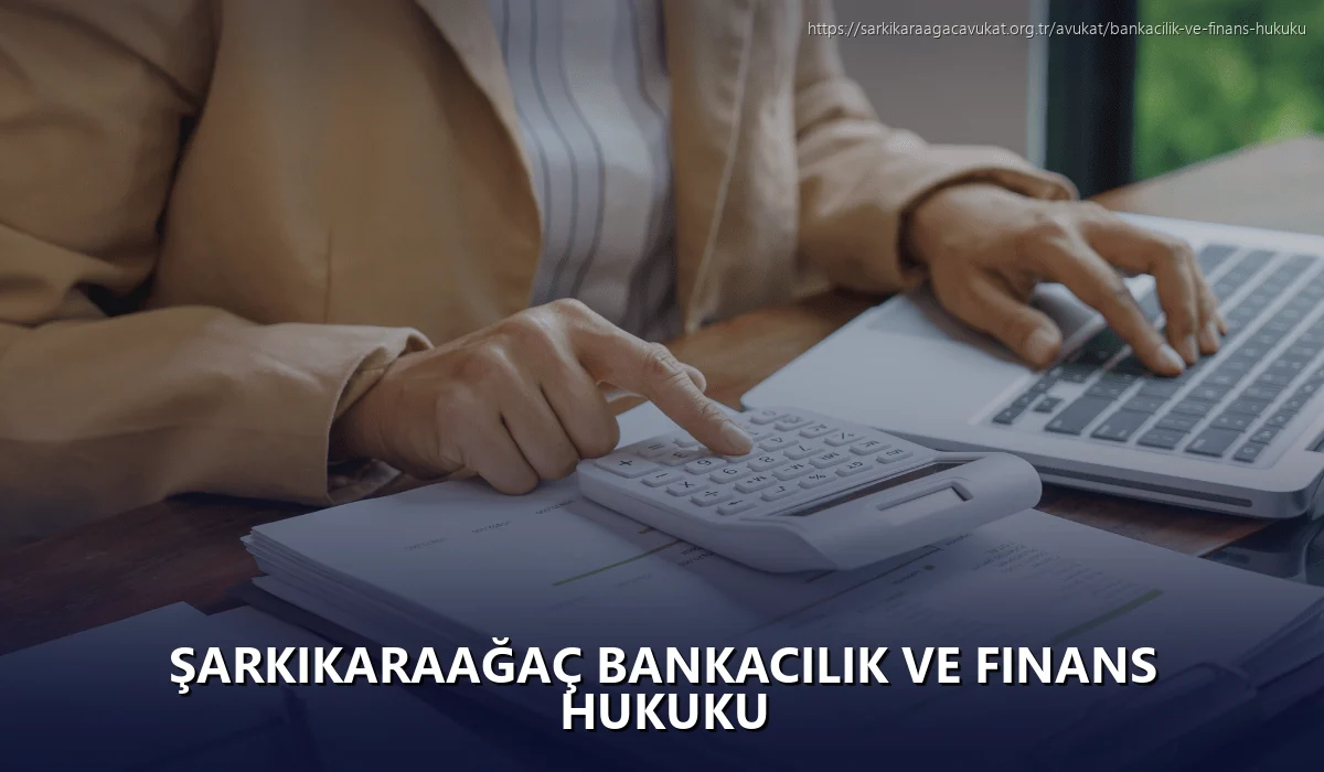 Şarkikaraağaç Bankacılık ve Finans Hukuku