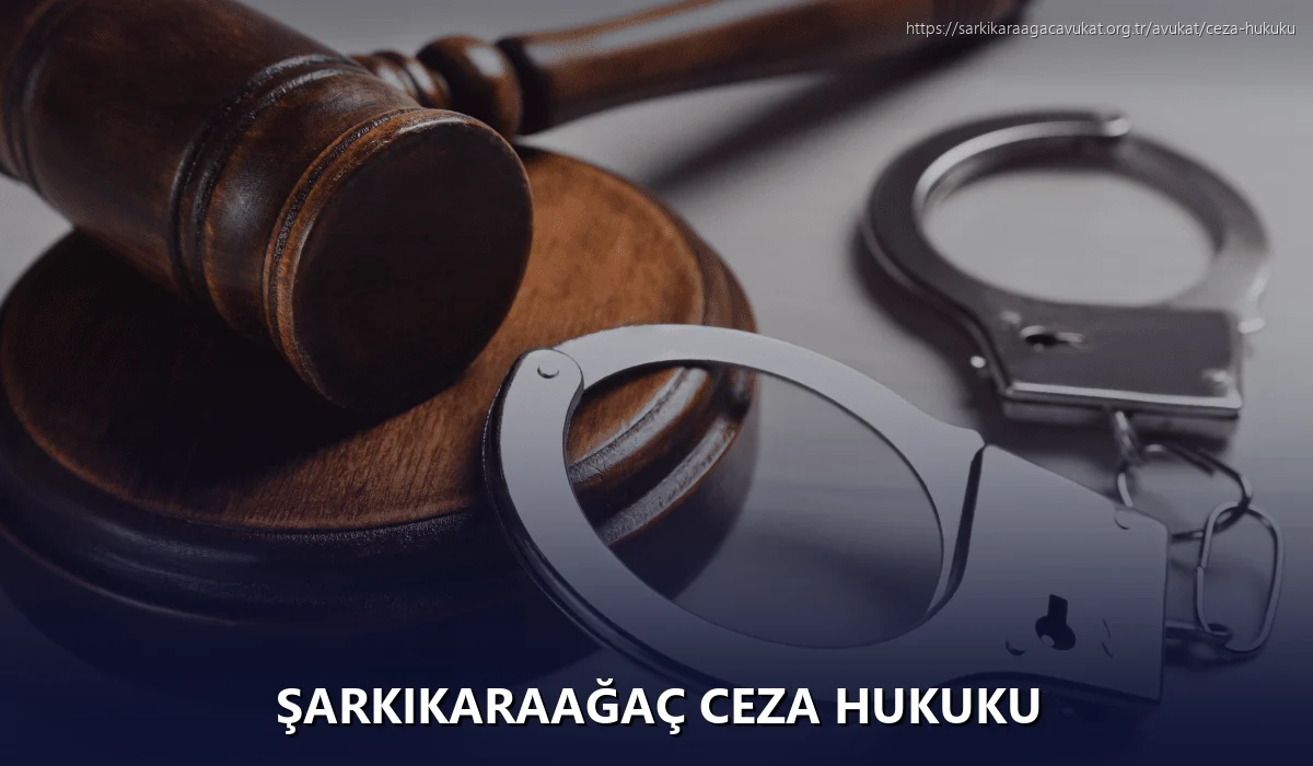 Şarkikaraağaç Ceza Hukuku